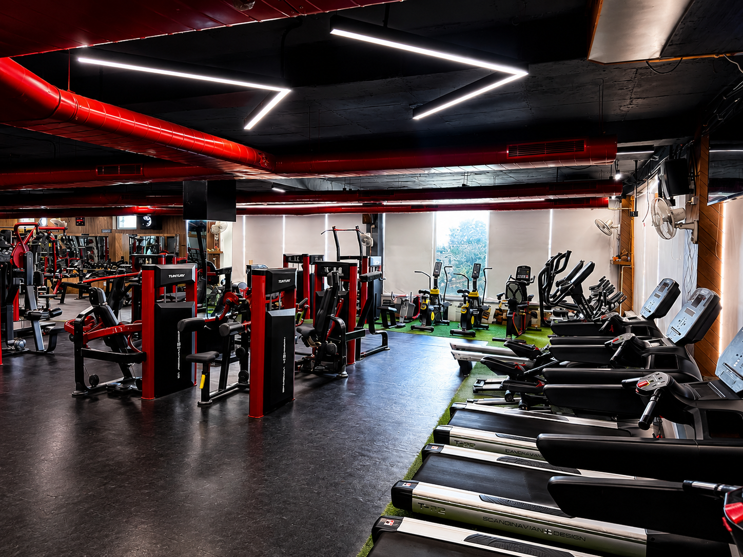 Functional Arena